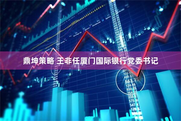 鼎坤策略 王非任厦门国际银行党委书记