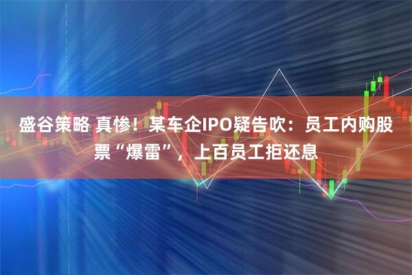 盛谷策略 真惨！某车企IPO疑告吹：员工内购股票“爆雷”，上百员工拒还息