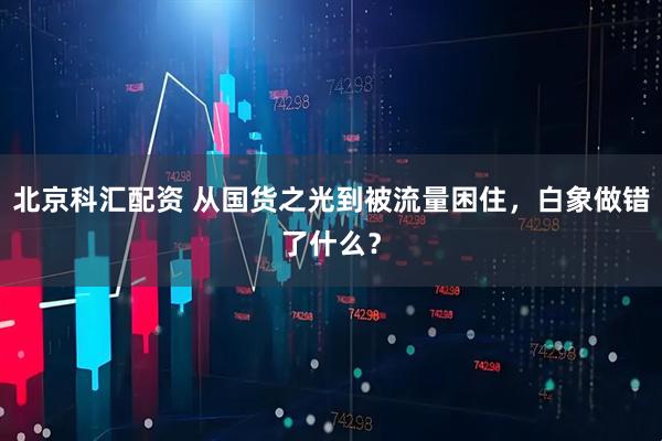 北京科汇配资 从国货之光到被流量困住，白象做错了什么？