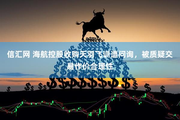 信汇网 海航控股收购天羽飞训遭问询，被质疑交易作价合理性