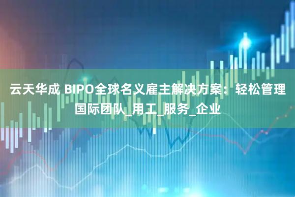 云天华成 BIPO全球名义雇主解决方案：轻松管理国际团队_用工_服务_企业