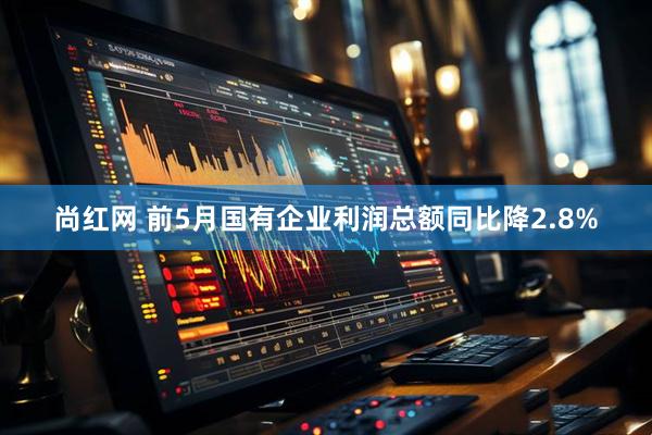 尚红网 前5月国有企业利润总额同比降2.8%