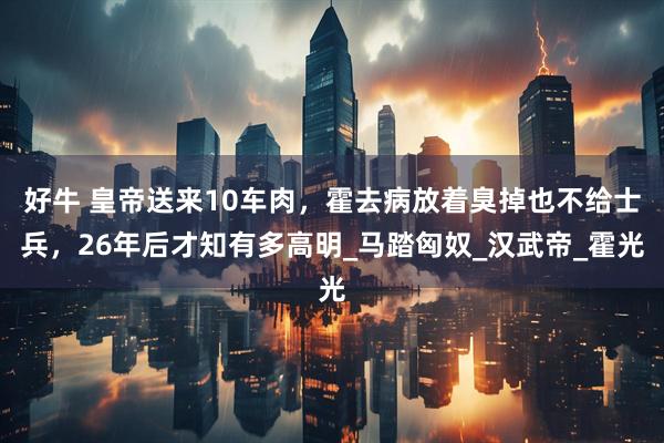 好牛 皇帝送来10车肉，霍去病放着臭掉也不给士兵，26年后才知有多高明_马踏匈奴_汉武帝_霍光