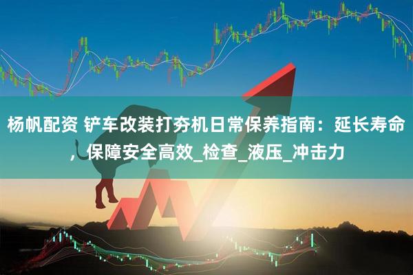 杨帆配资 铲车改装打夯机日常保养指南：延长寿命，保障安全高效_检查_液压_冲击力