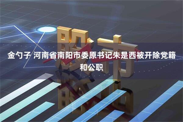 金勺子 河南省南阳市委原书记朱是西被开除党籍和公职