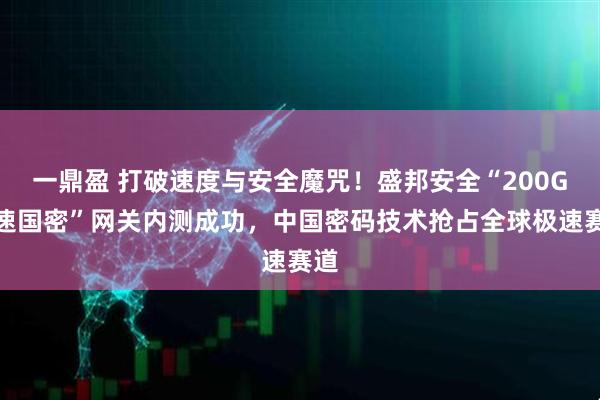 一鼎盈 打破速度与安全魔咒！盛邦安全“200G极速国密”网关内测成功，中国密码技术抢占全球极速赛道